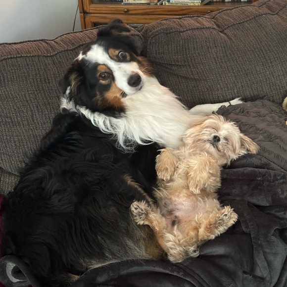 Host Appreciation! - Picture 3 of 7